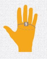 Diagram of measurements of that hand for sizing..