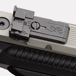 Pro-Target Rear Sight on Buck Mark Pistol
