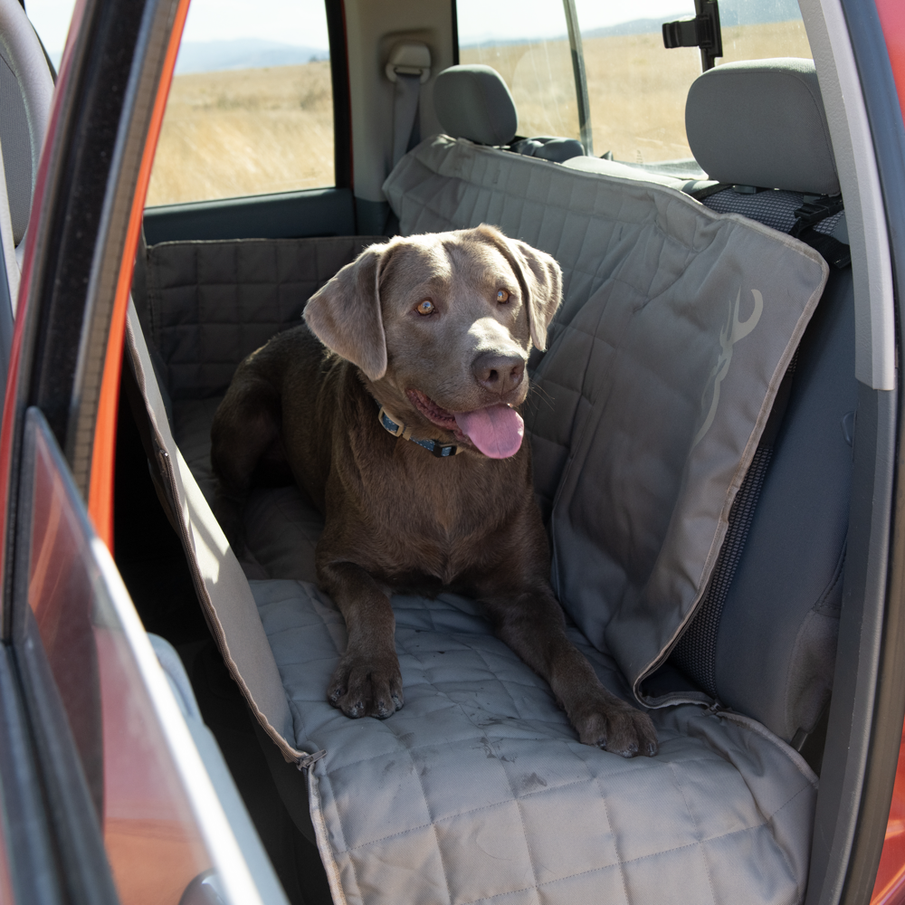 Orvis Dog Hammock Car Seat Cover Reviews - Paw of Approval - The Dodo