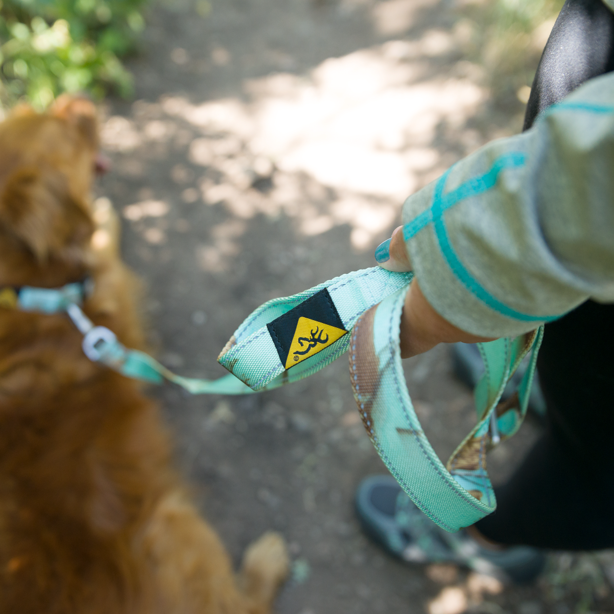 Browning shop dog leash