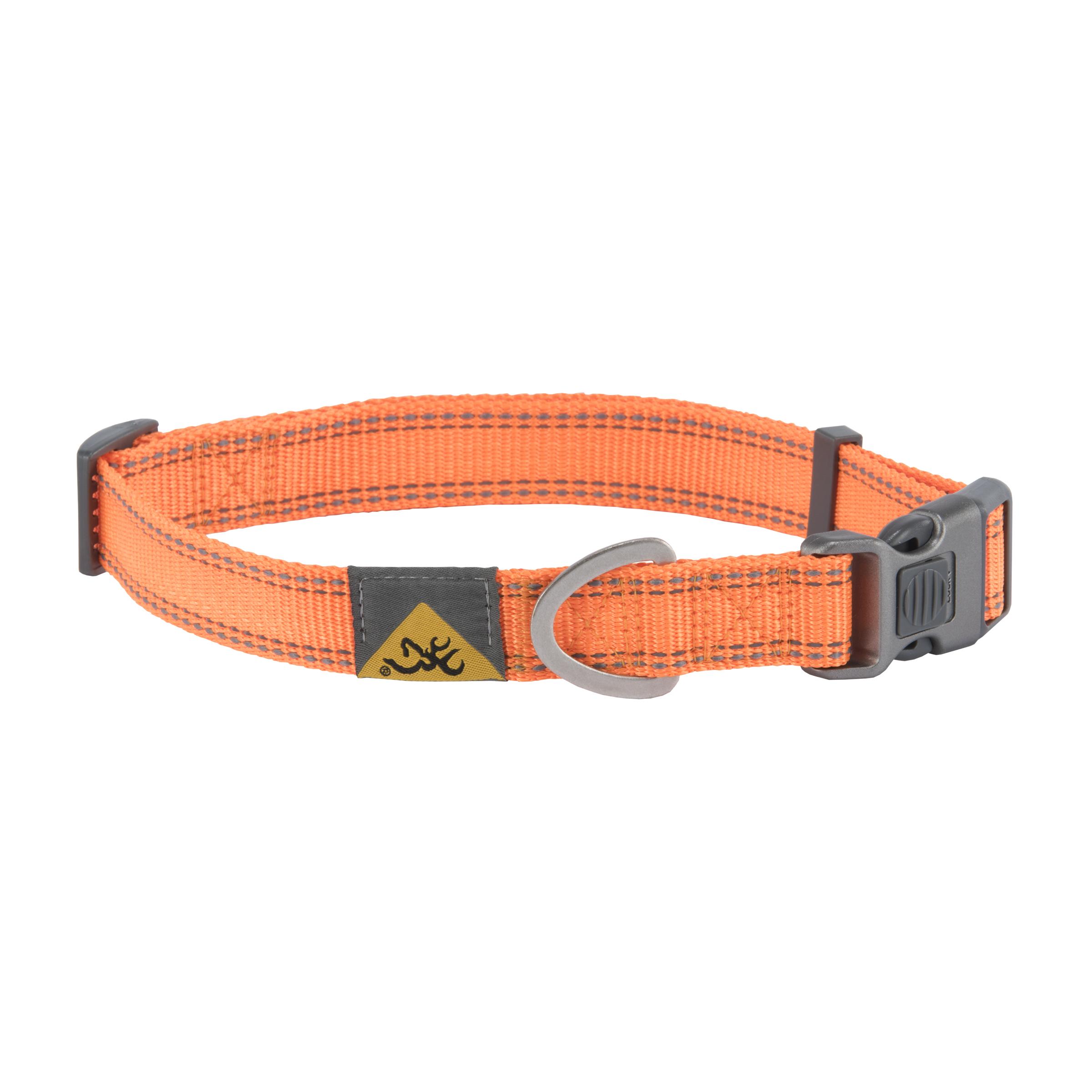 Classic Webbing Dog Collar