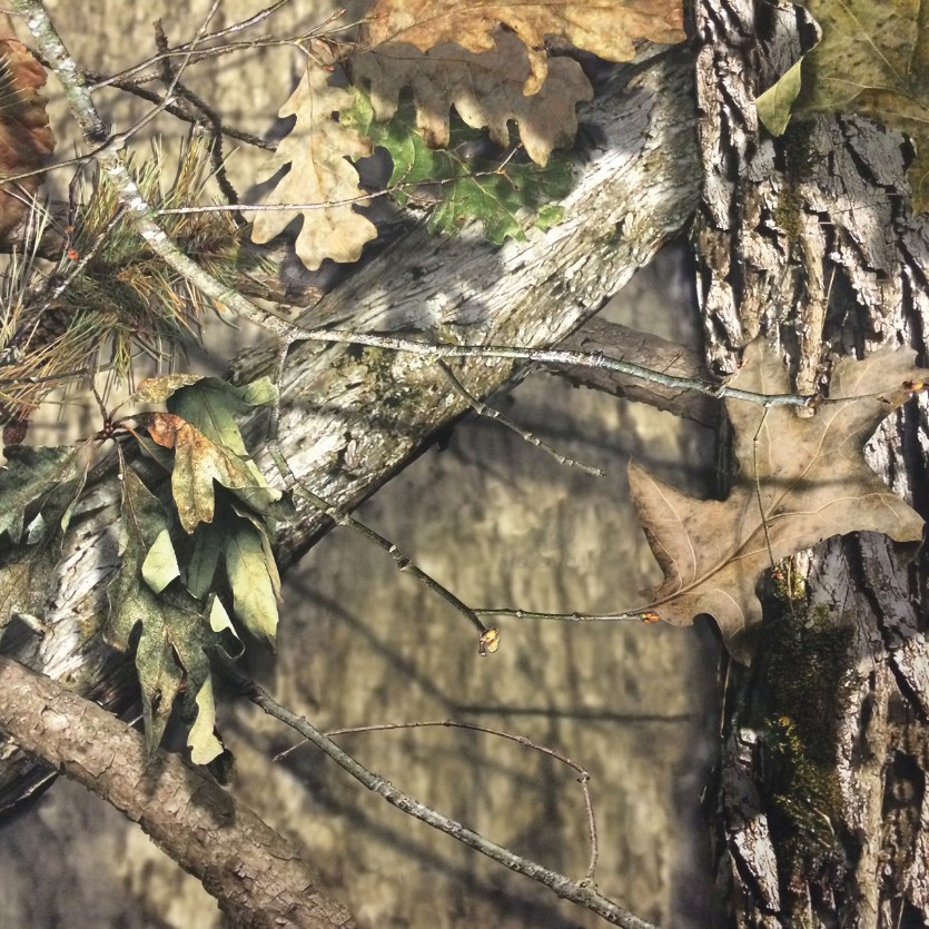 browning hipster hoodie