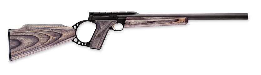 Buck Mark FLD Target Gray Laminate Rifle