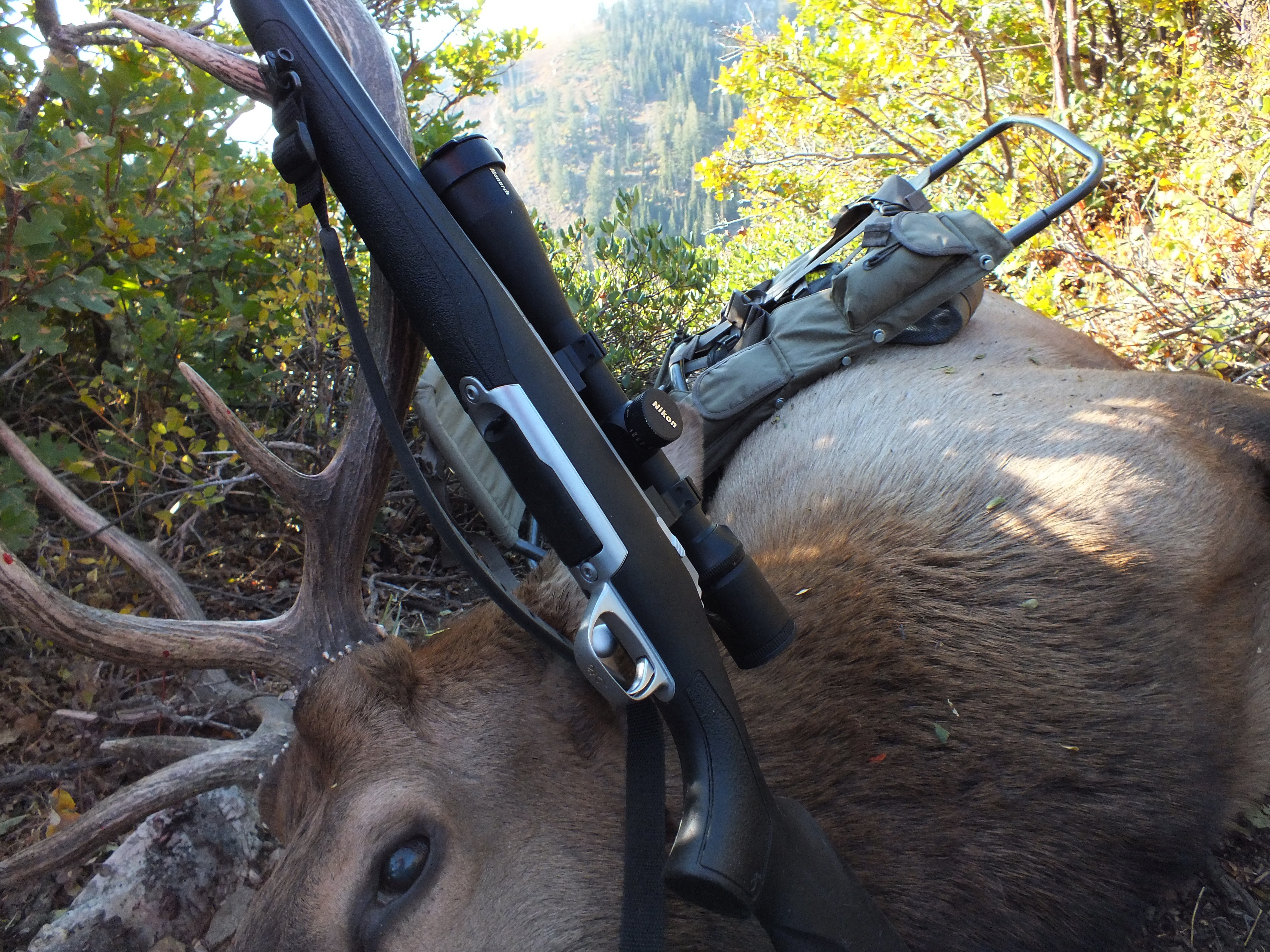 X Bolt Stainless Stalker DT Bolt Action Rifle Browning