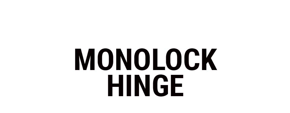 Monoblock Hinge