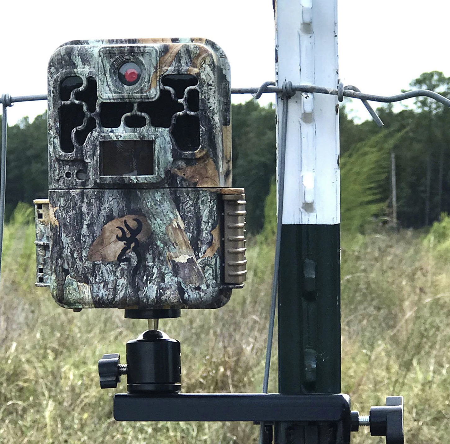 Trail Cameras