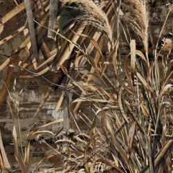 Realtree Max 5