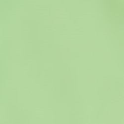 Neo Mint