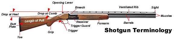 Shotgun Length Of Pull Chart