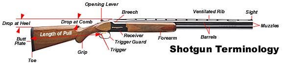 Proper fit diagram for shotgun stock
