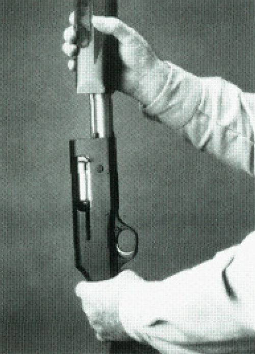 Figure 6. Removing forearm.