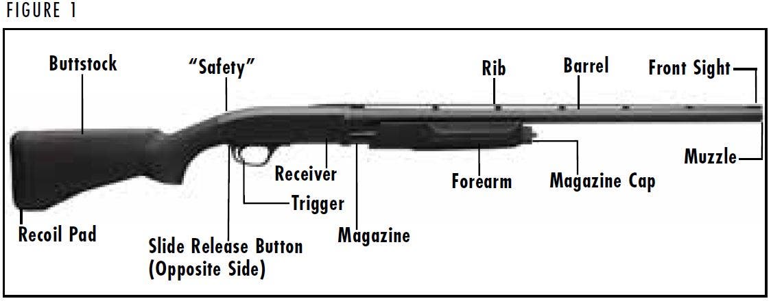 BPS Shotgun Diagram Figure 1