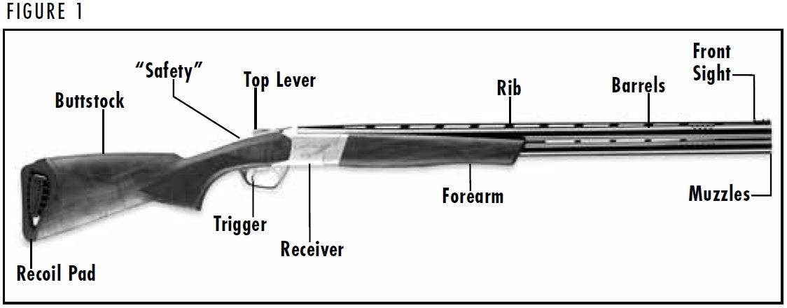 Cynergy Shotgun Diagram Figure 1