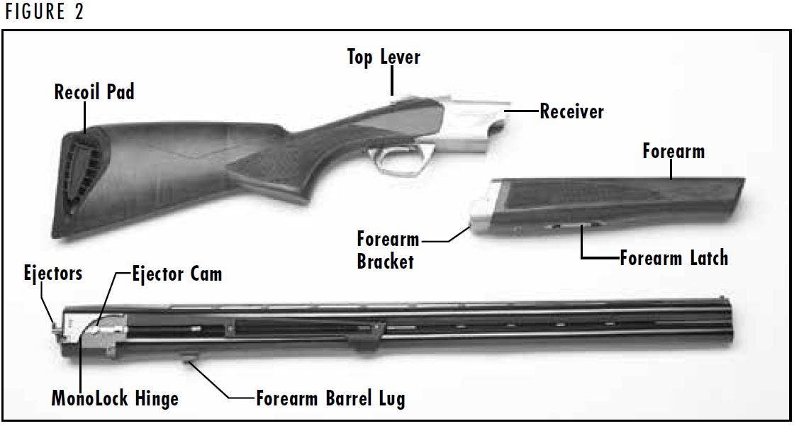 Cynergy Shotgun Diagram Figure 2
