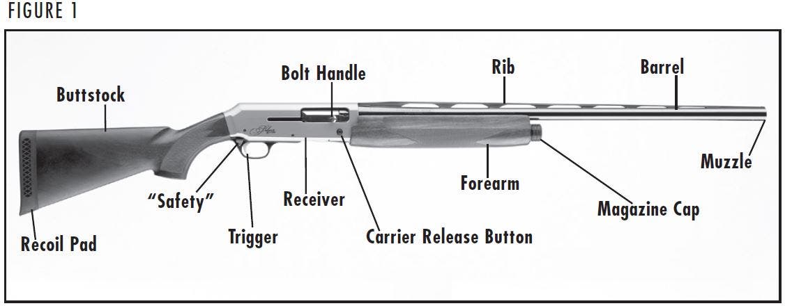 Silver Shotgun Diagram Figure 1