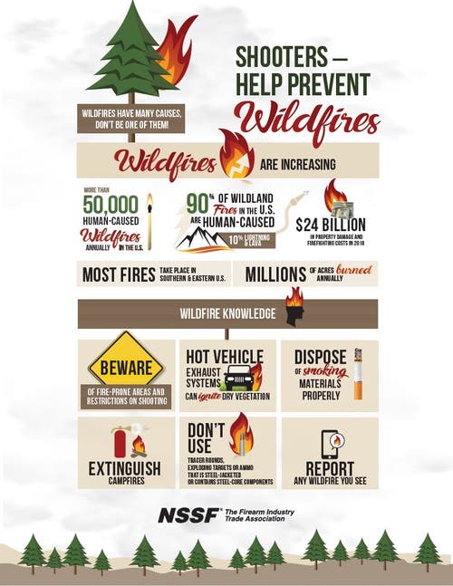 NSSF Firearms fire safety flyer image with download link. 